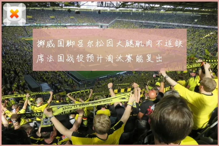 挪威国脚吕尔松因大腿肌肉不适缺席法国战役预计淘汰赛能复出